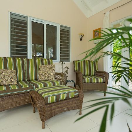 Ocho Rios Under The Palms Villa Exteriör bild