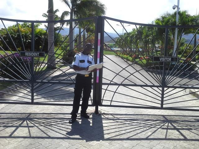 Ocho Rios Under The Palms Villa Exteriör bild