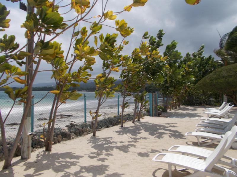 Ocho Rios Under The Palms Villa Exteriör bild