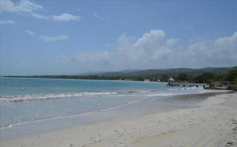 Ocho Rios Under The Palms Villa Exteriör bild